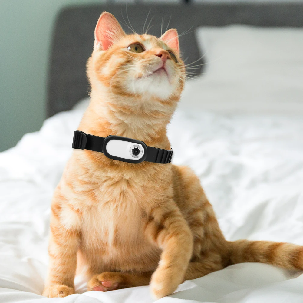 CatCam Collar