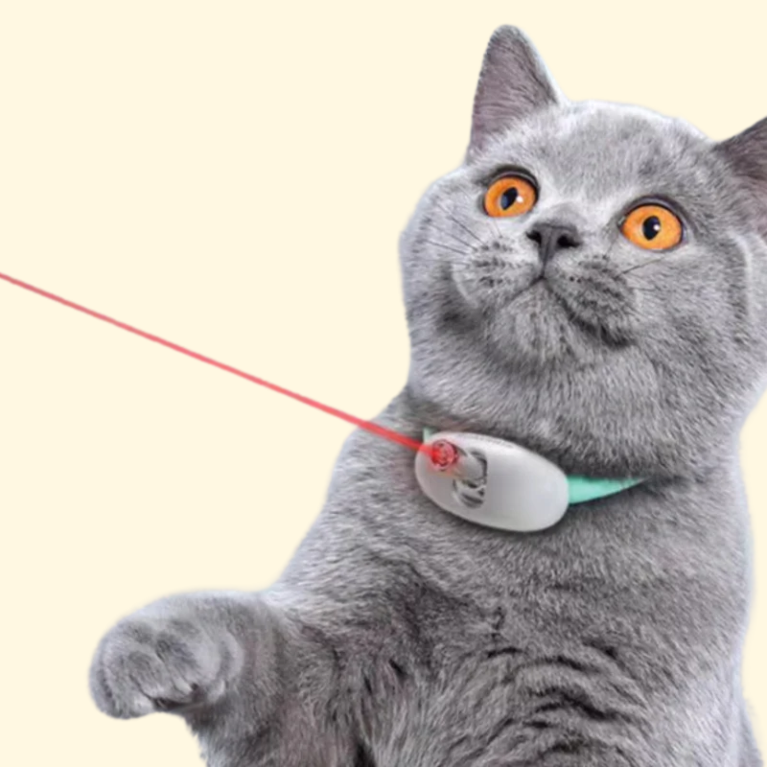 Cat Laser Collar