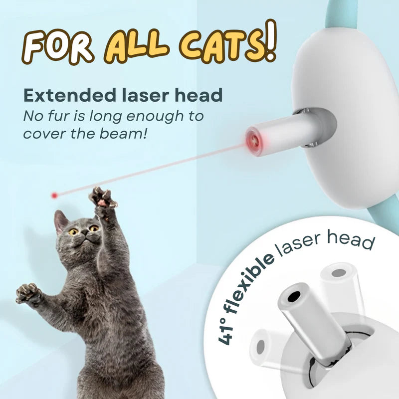 Cat Laser Collar