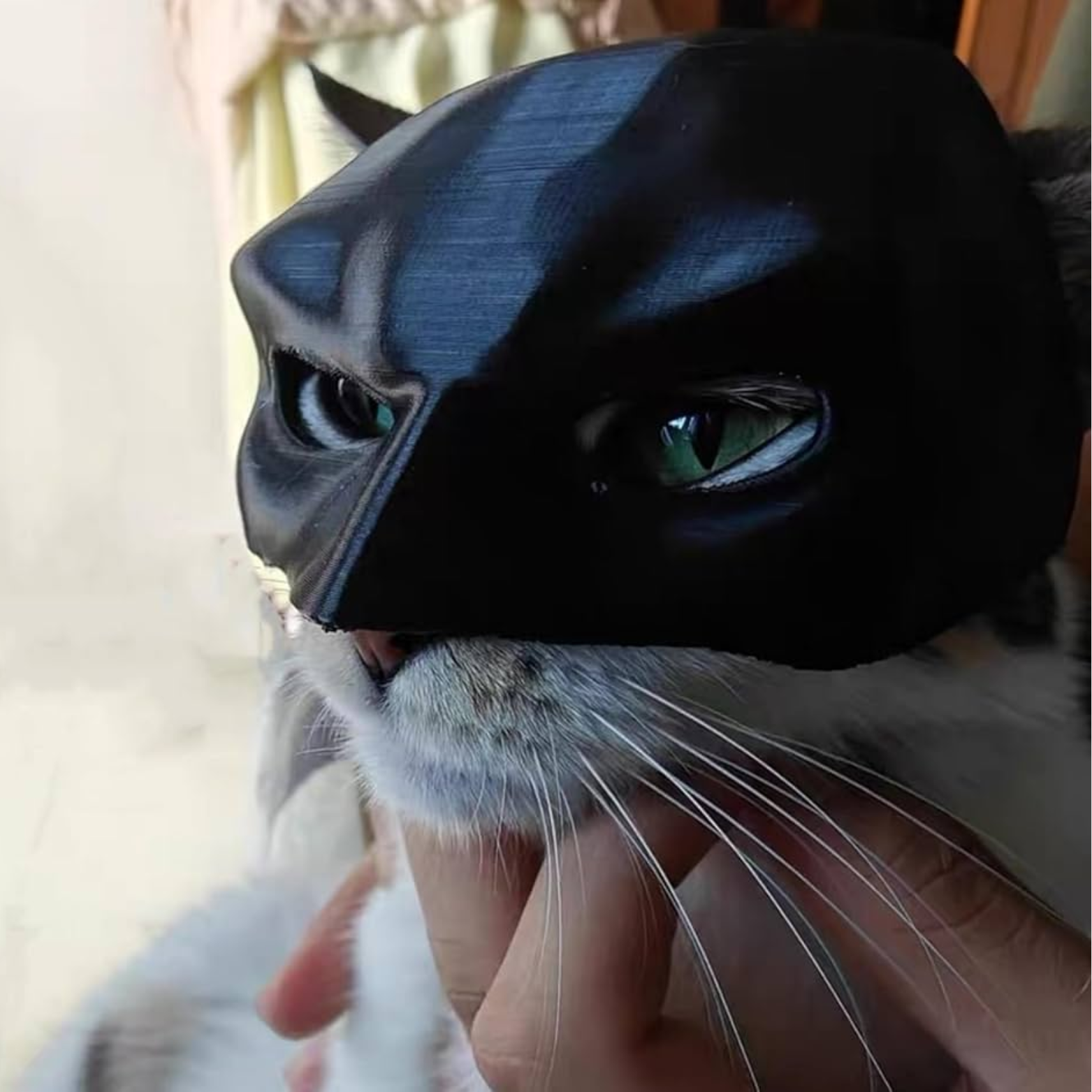 The Bat Cat Mask