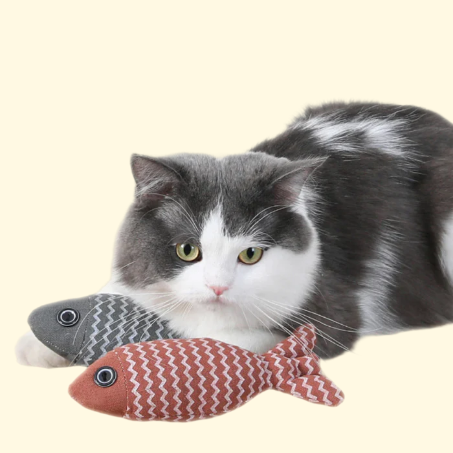 Fish Catnip Toy