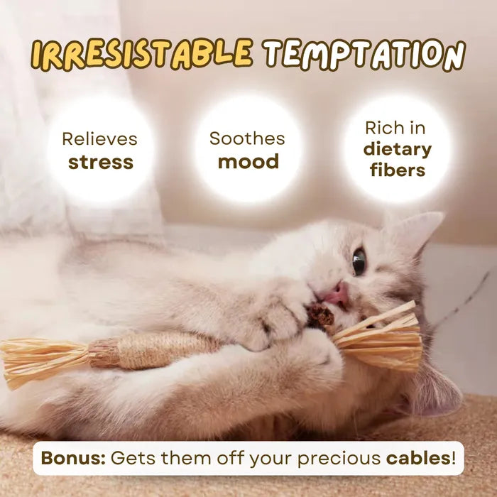 Natural Teething Toy