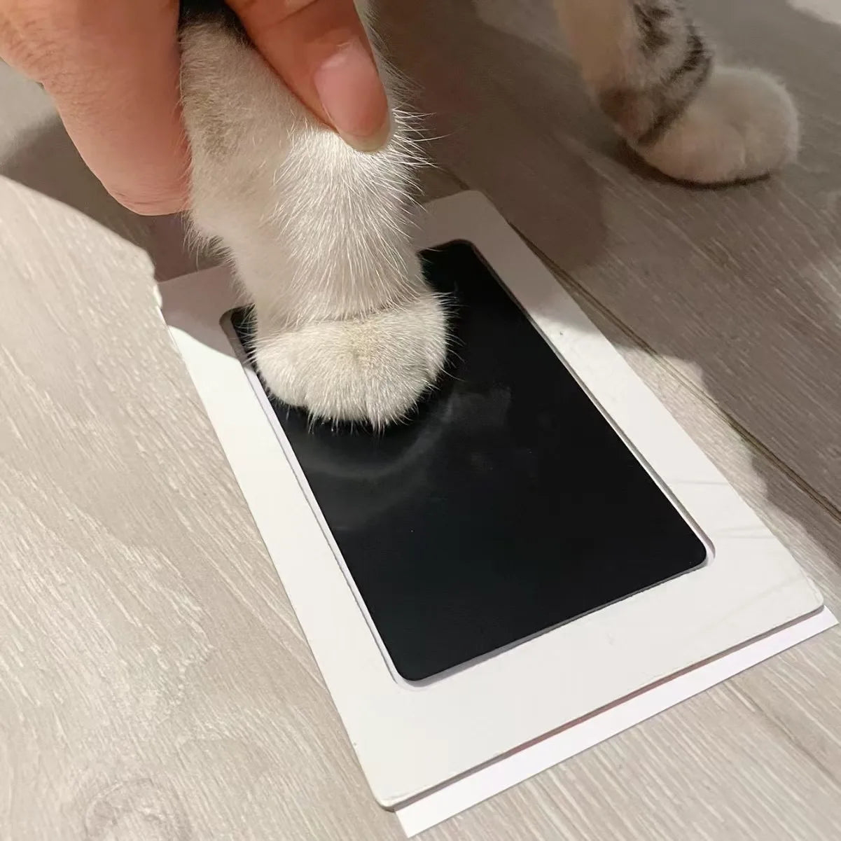 Pet Pawprint Pad