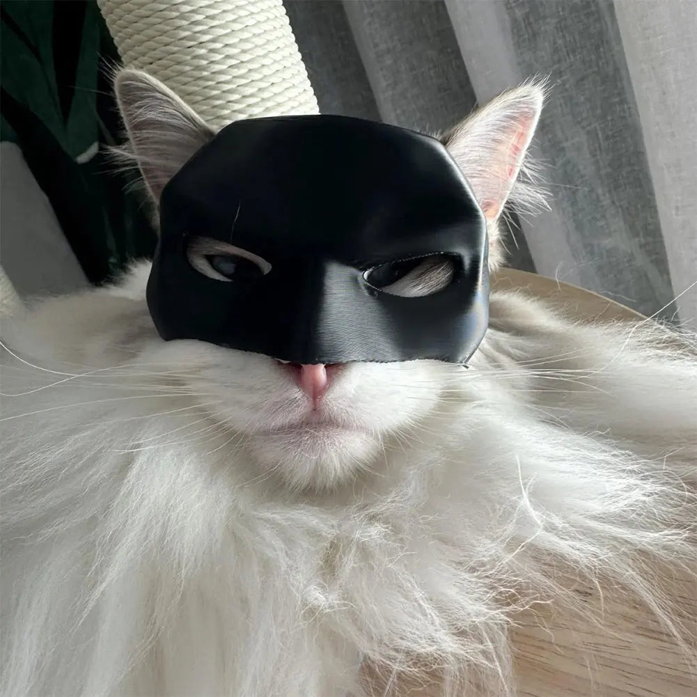 The Bat Cat Mask