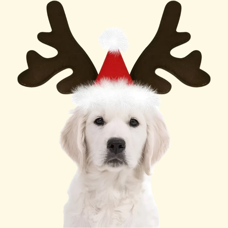 Christmas Reindeer Pet Headband