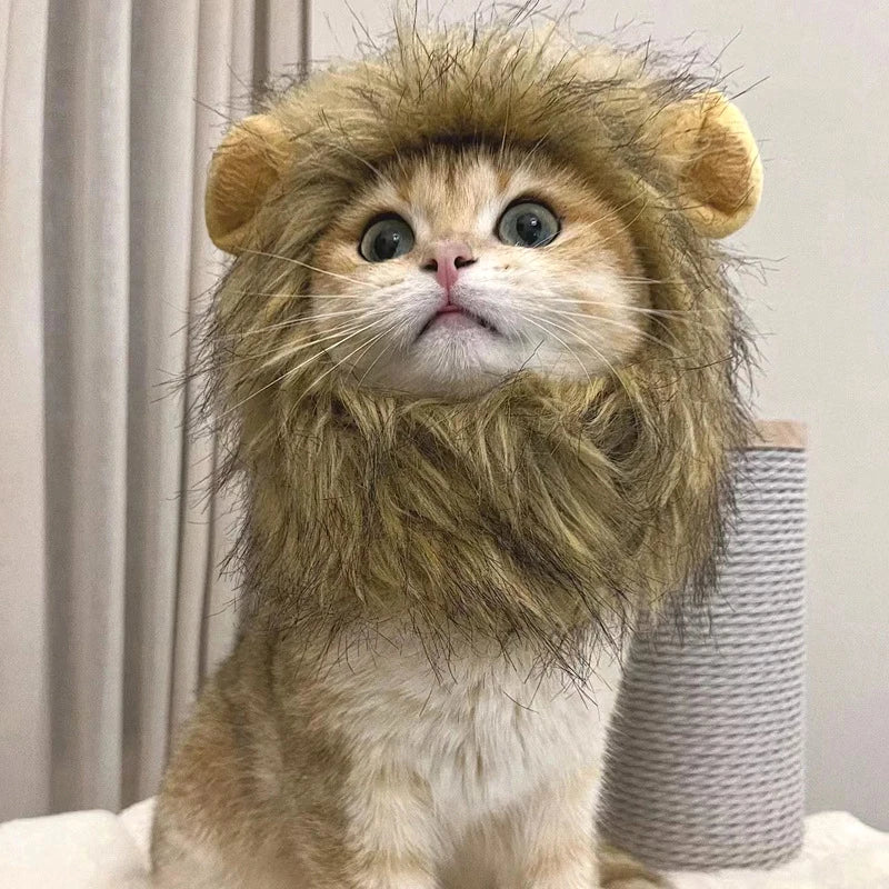 Cute Lion Cat Costume