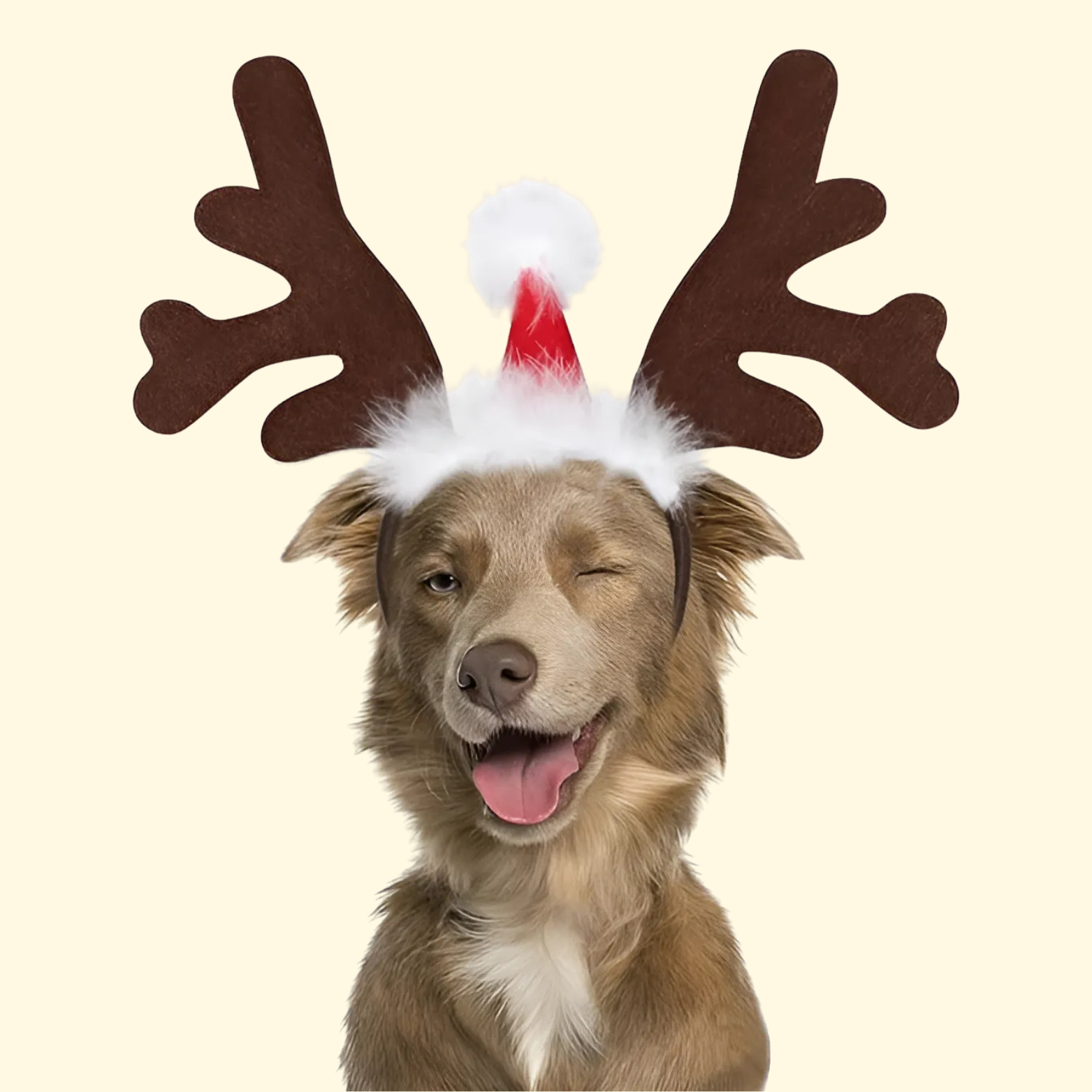 Christmas Reindeer Pet Headband