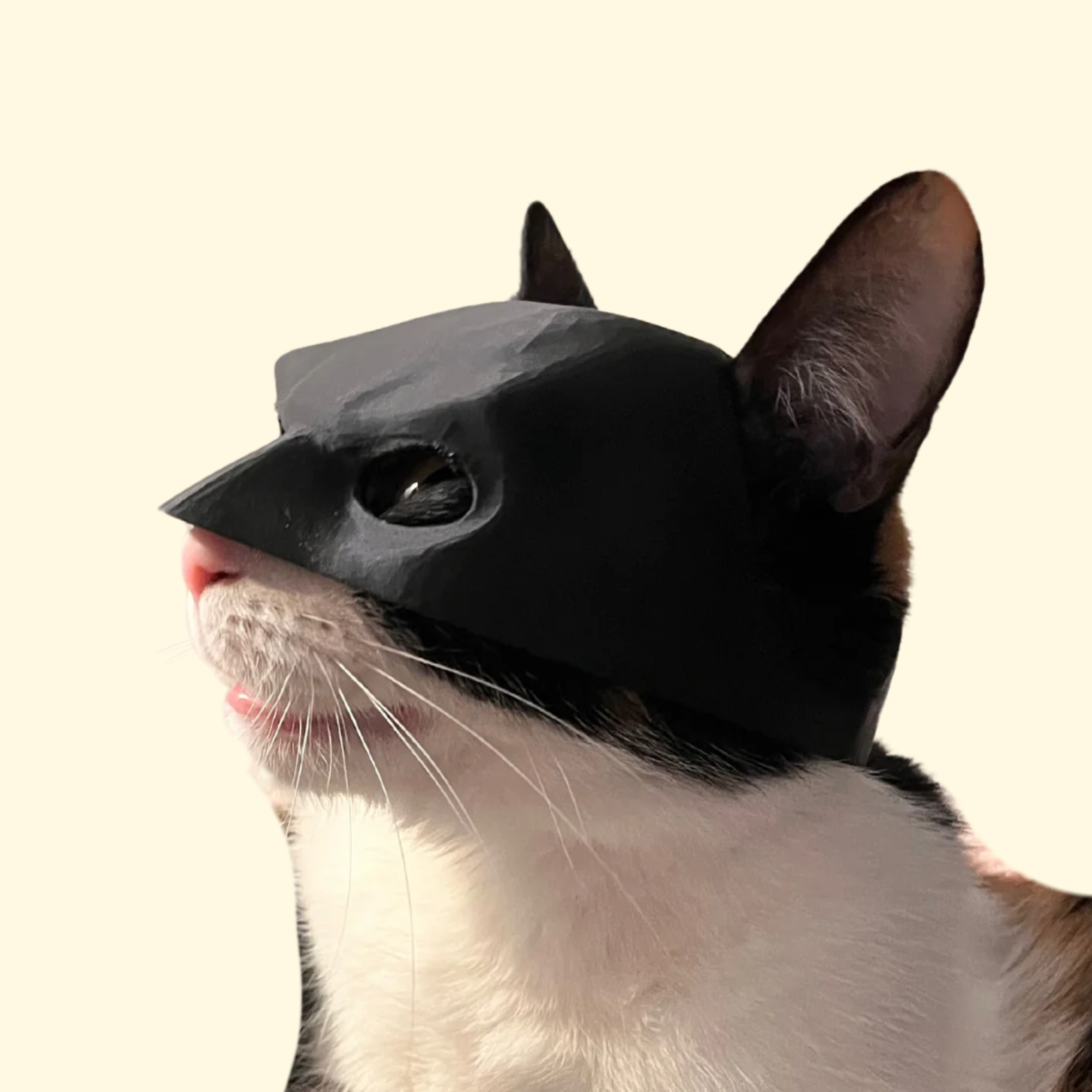 The Bat Cat Mask