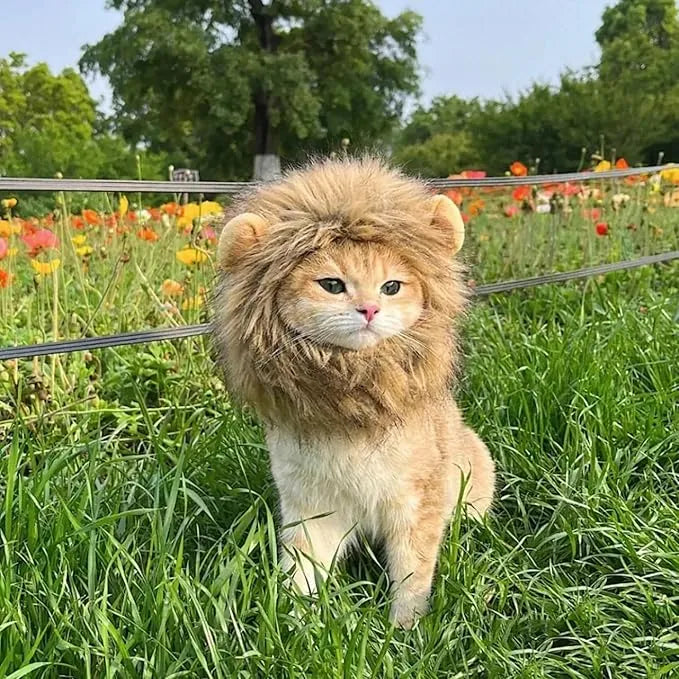 Cute Lion Cat Costume