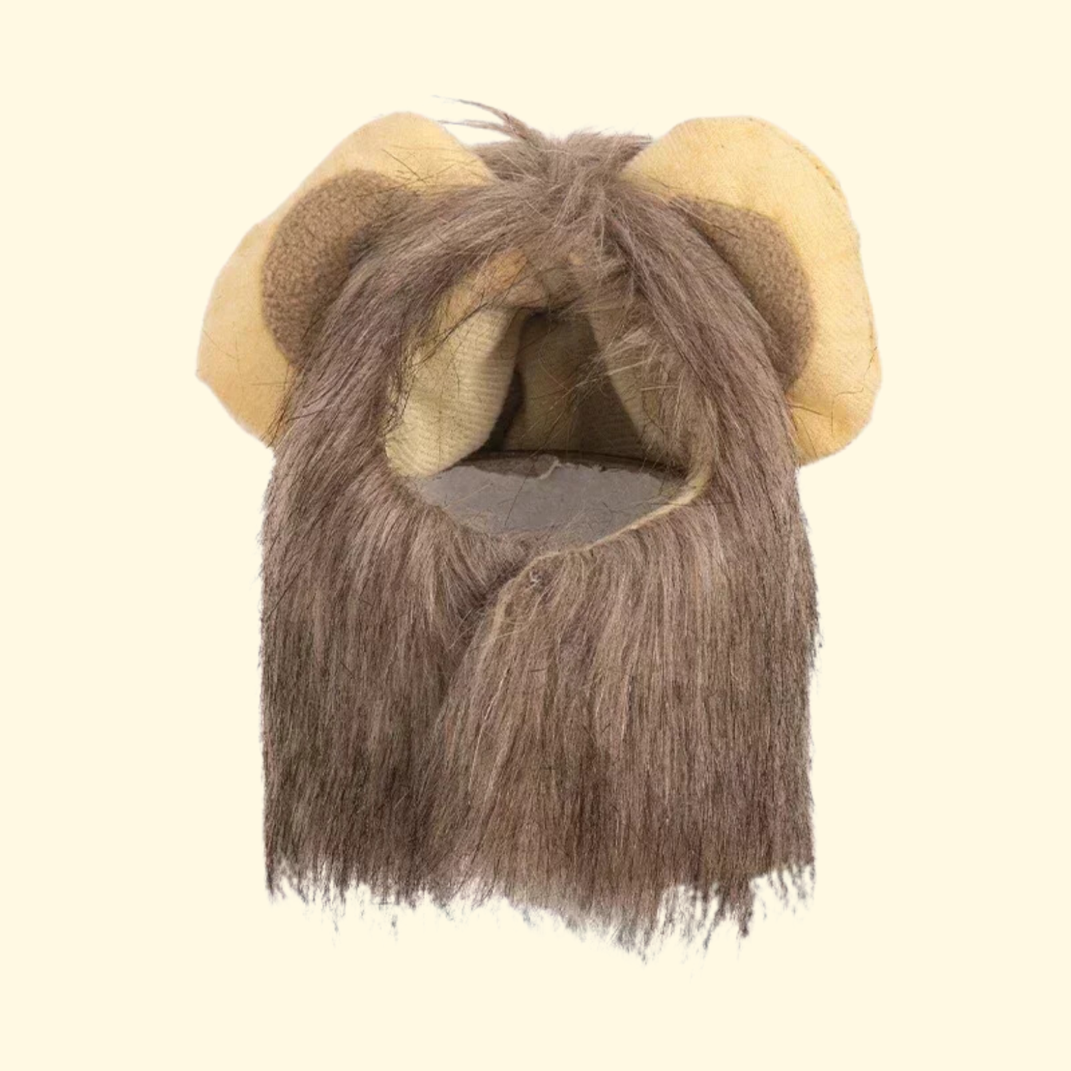 Cute Lion Cat Costume