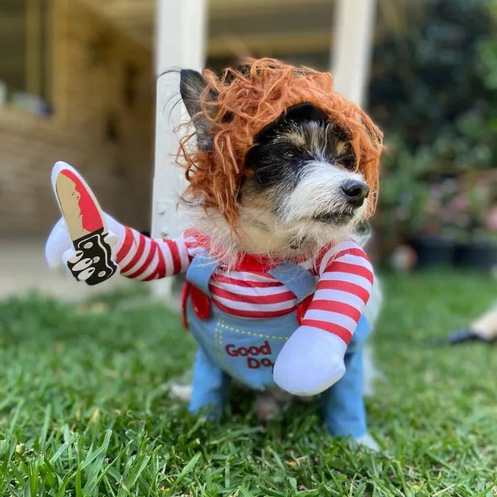 Chucky Pet Costume