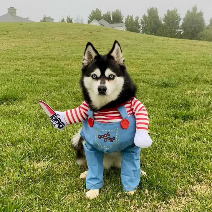 Chucky Pet Costume