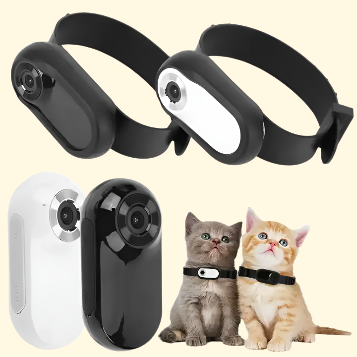 CatCam Collar