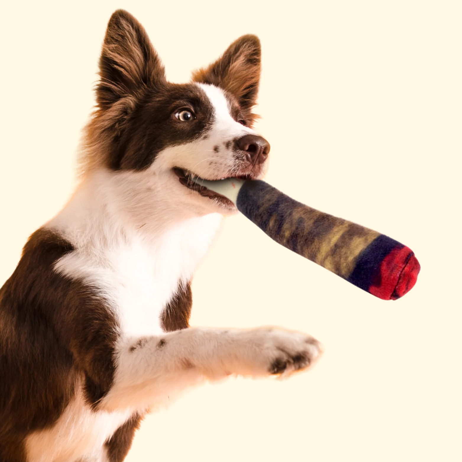 Squeaky Doggy Doobie Toy