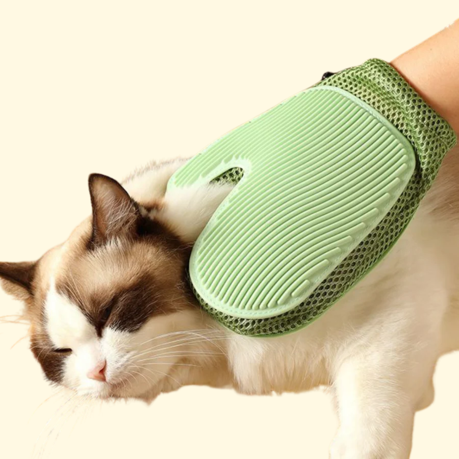 2-in-1 Cat Glove