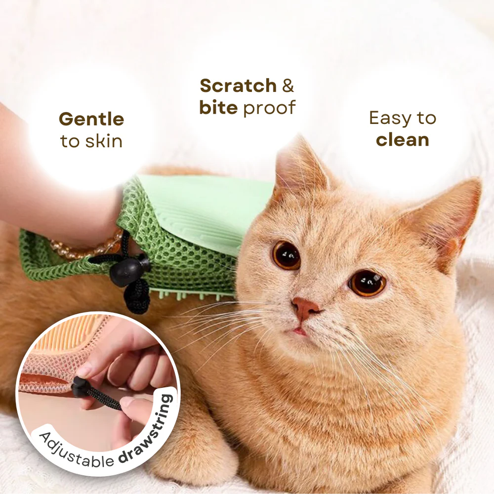 2-in-1 Cat Glove