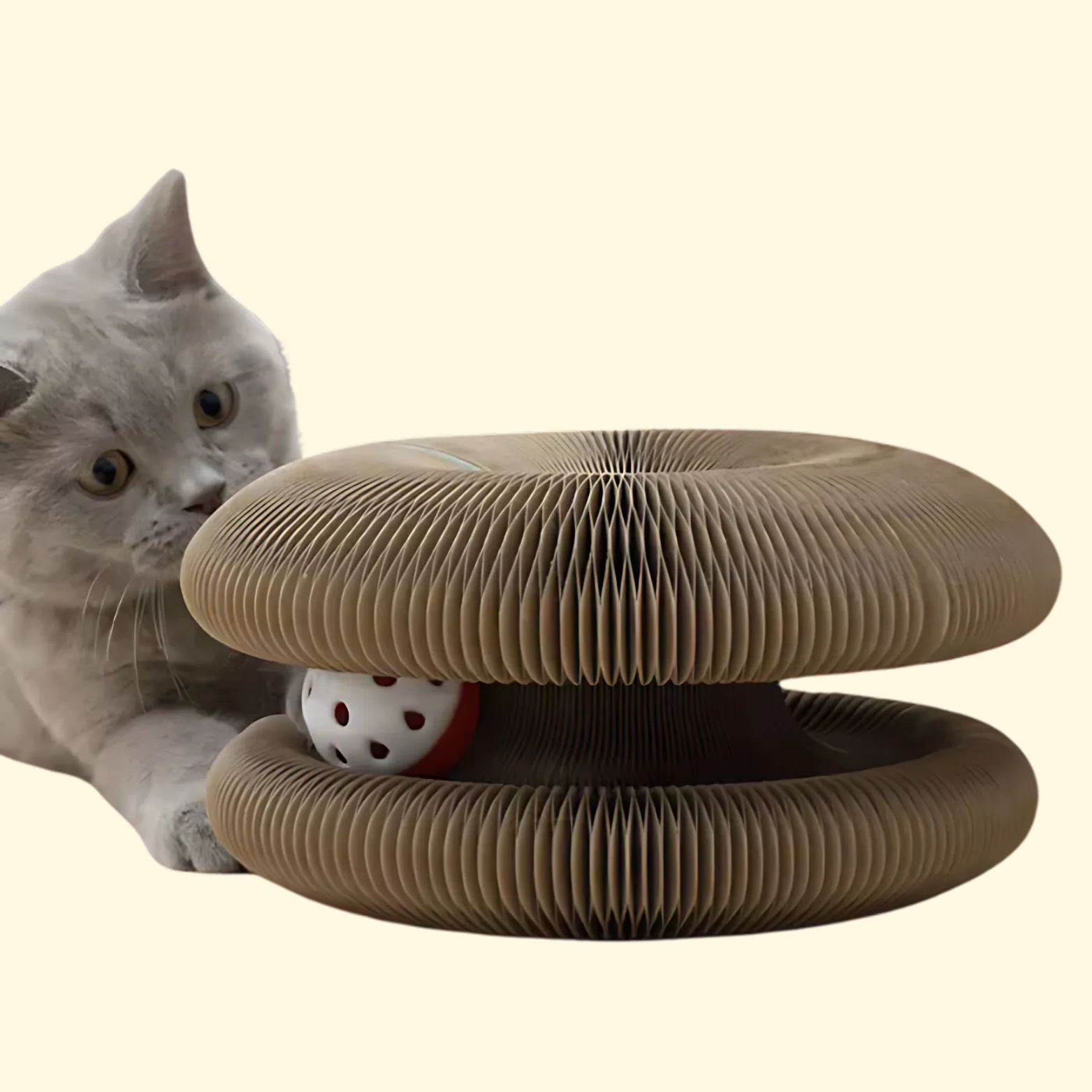 Cat Scratching Ball Toy