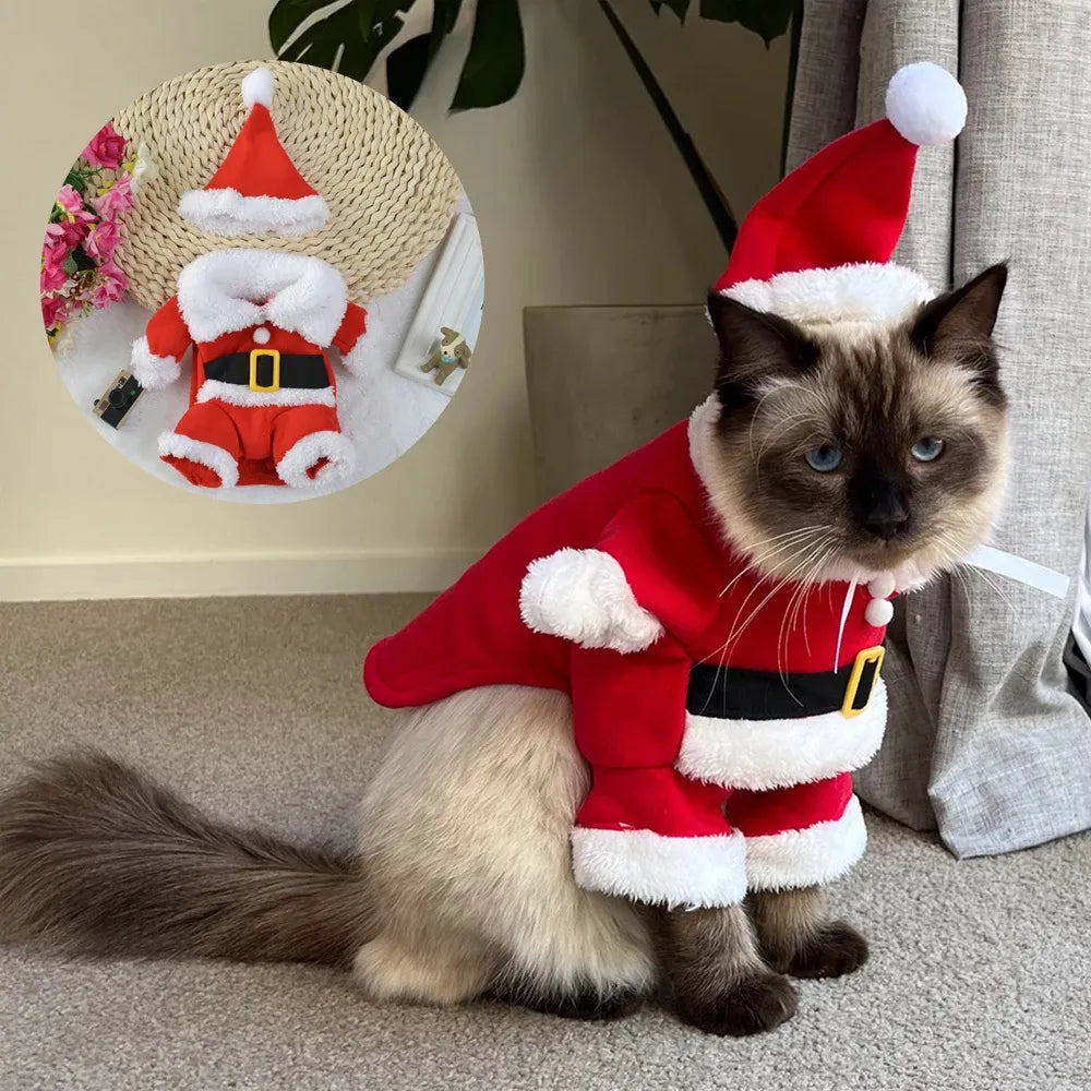 Christmas Santa Pet Costume